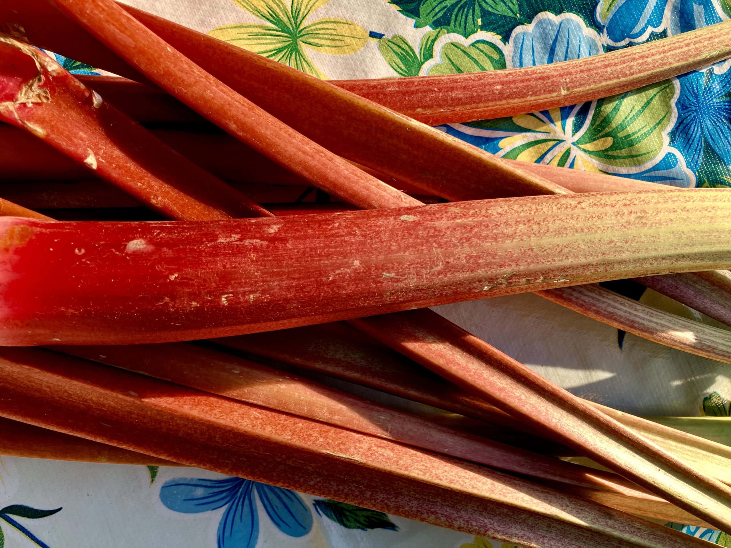 Den haben wir schon mal sicher! - Ribollita